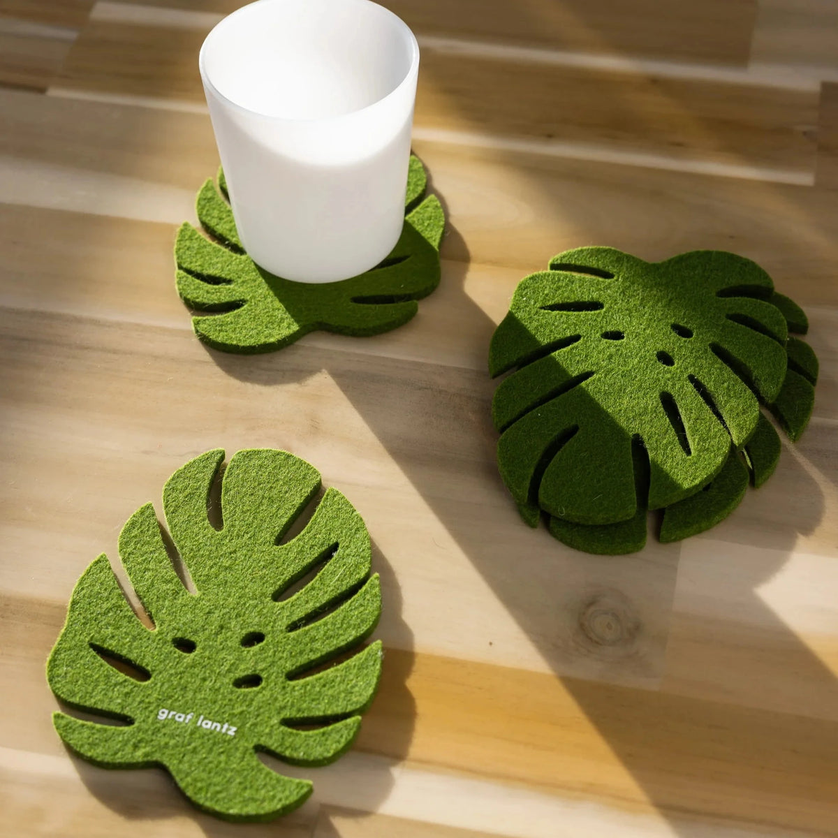 Felt Coasters: Monstera Set – ICA Retail Store