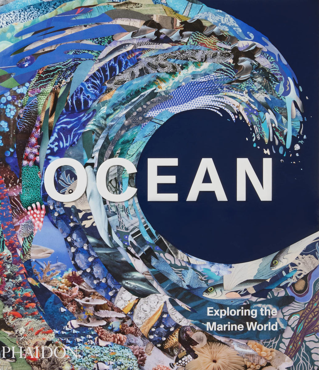 Ocean, Exploring the Marine World – ICA Retail Store