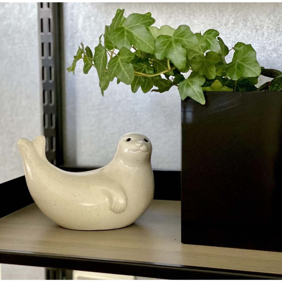 Seal Money Box ICA Retail Store