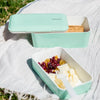 Bento Box Dual: Peppermint