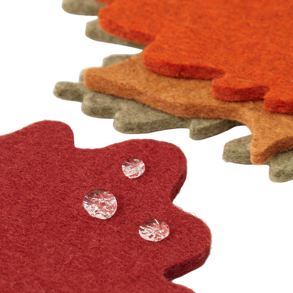Autumn Leaf Coaster Multicolor Set
