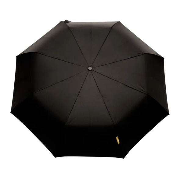 The Daily Umbrella: Black