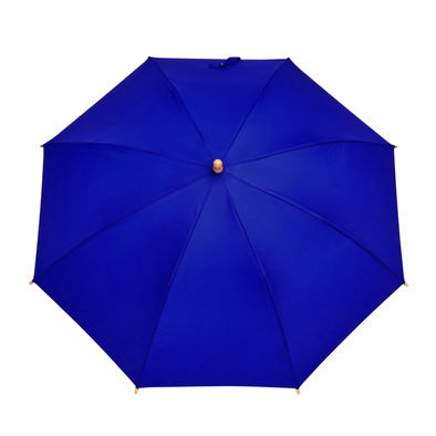 Children's Duckling Umbrella: Royal Blue