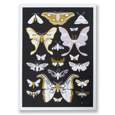 Print: Moths