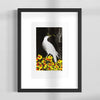 Risograph Print: Early Bird