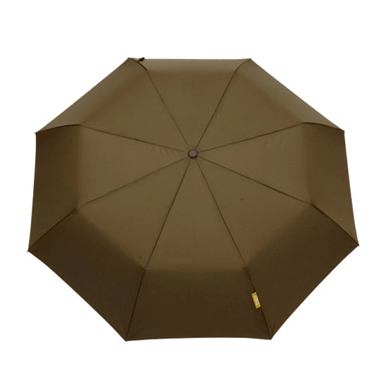The Daily Umbrella: Green