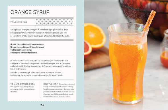 Fizz: 70+ Homemade Artisan Sodas