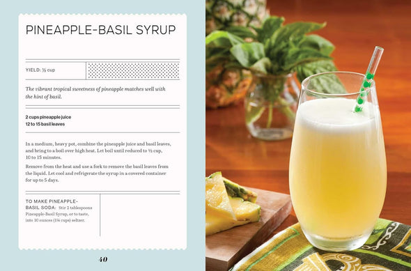 Fizz: 70+ Homemade Artisan Sodas