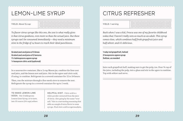 Fizz: 70+ Homemade Artisan Sodas