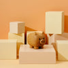 Wooden Animal: Nutti Pig