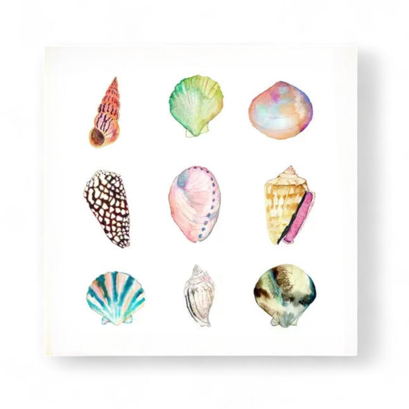 Print: Shell Collection