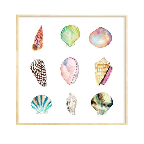 Print: Shell Collection