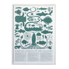 Print: Some Sea Animals of the Atlantic Ocean