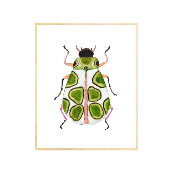 Beetle #24
