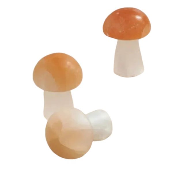 Selenite Mushroom