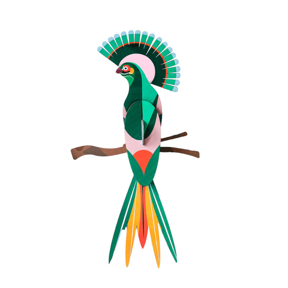 Paradise Bird: Gili