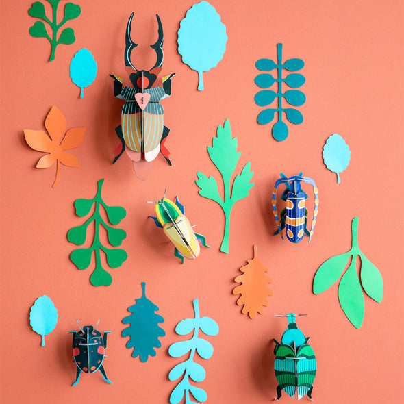 Wall of Curiosities: Beetle Antiquary