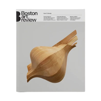 Boston Art Review Issue 11: Emerge