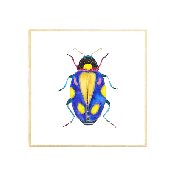 Beetle #13