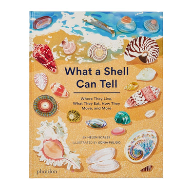 What a Shell Can Tell