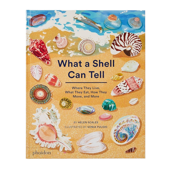 What a Shell Can Tell