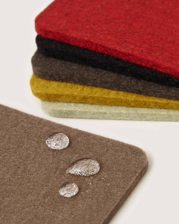 Felt Coasters 6-pack: Wander