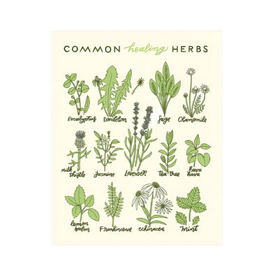 Healing Herbs 11 X 14 Print