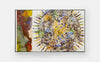 Shahzia Sikander: Collective Behavior
