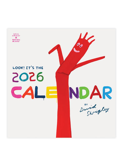 David Shrigley 2026 Wall Calendar