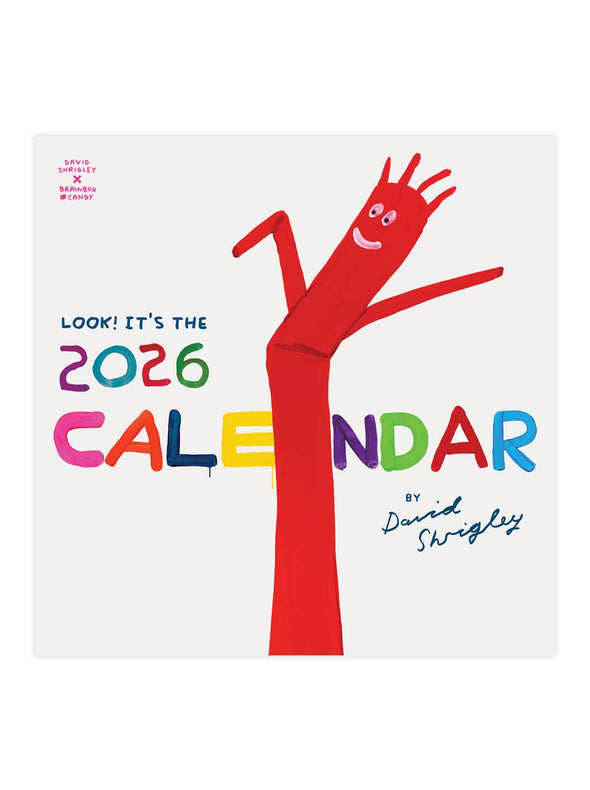 David Shrigley 2026 Wall Calendar