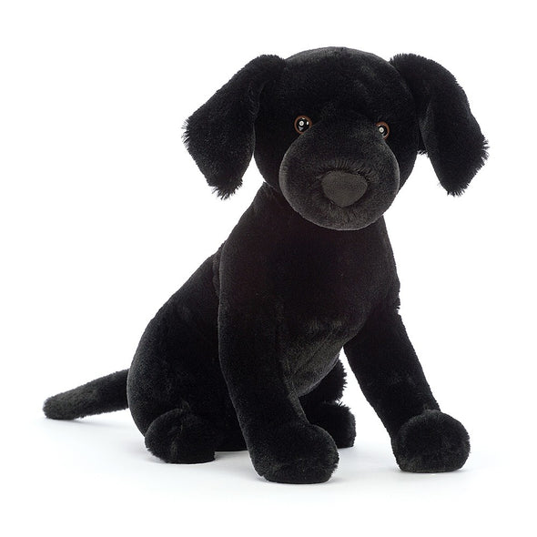 Pippa Black Labrador