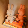 Miffy Corduroy: Pumpkin