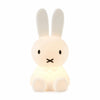 Miffy First Light Lamp