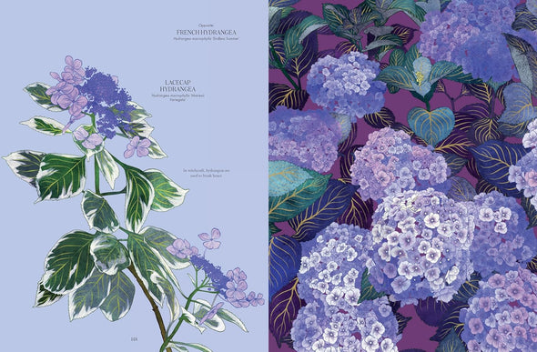 Petal: The World of Flowers Through an Artist's Eye