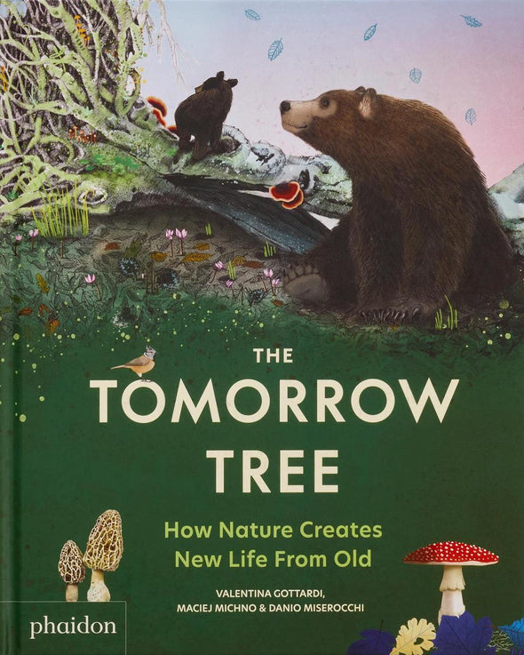 The Tomorrow Tree: How Nature Creates New Life From Old