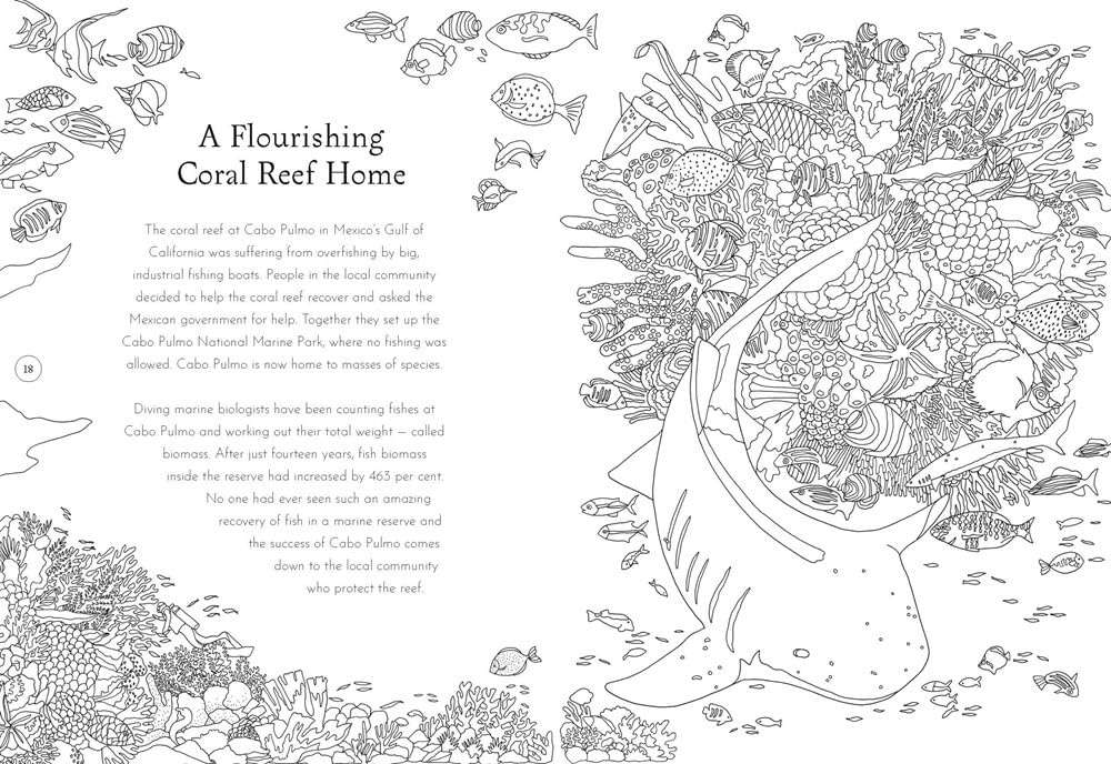 Return of the Wild Coloring Book – ICA Retail Store