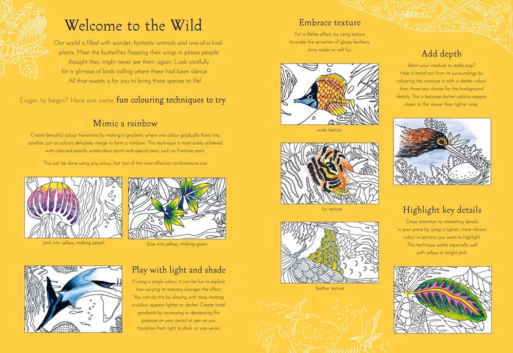 Return of the Wild Coloring Book – ICA Retail Store