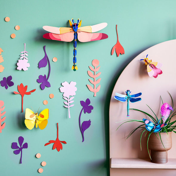Wall of Curiosities: Insects