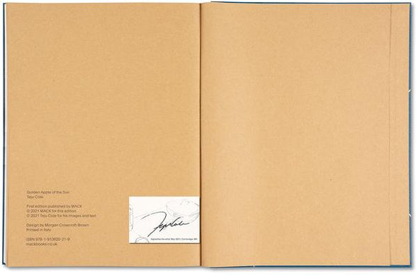 Teju Cole: Golden Apple of the Sun