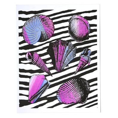 Print: Zuma Seashell