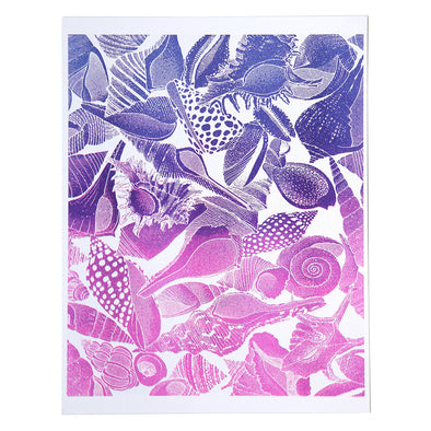 Print: Ombre Seashell