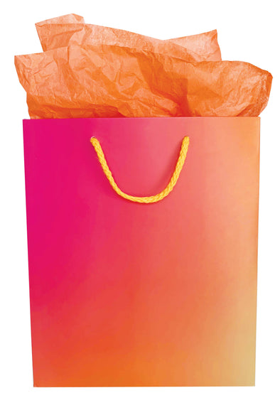Colorful Gradient Gift Bag