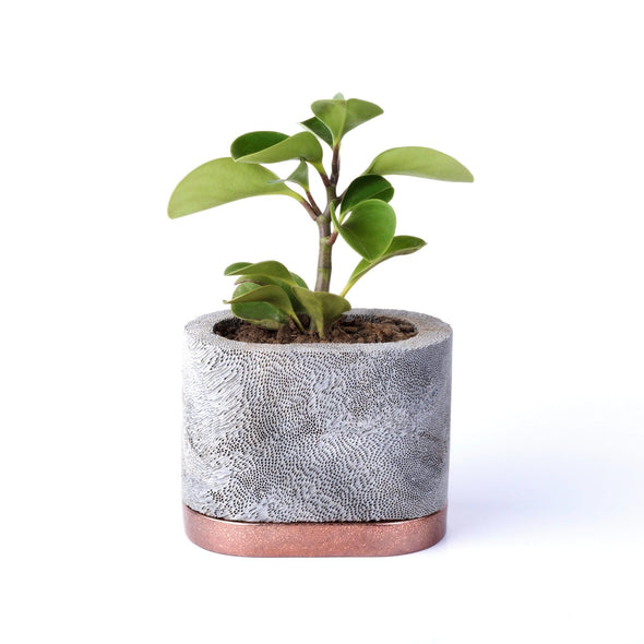 Calcite Stone Planter: Oval