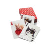 3D Playing Cards: Cats