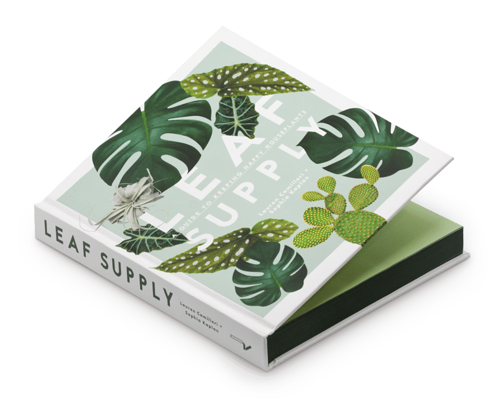 happy house plants book Leaf Supply: A Guide to Keeping Happy House Plants