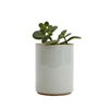 Small Porcelain Planter: Gray